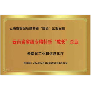 云南省專精特新成長型企業(yè)榮譽(yù)